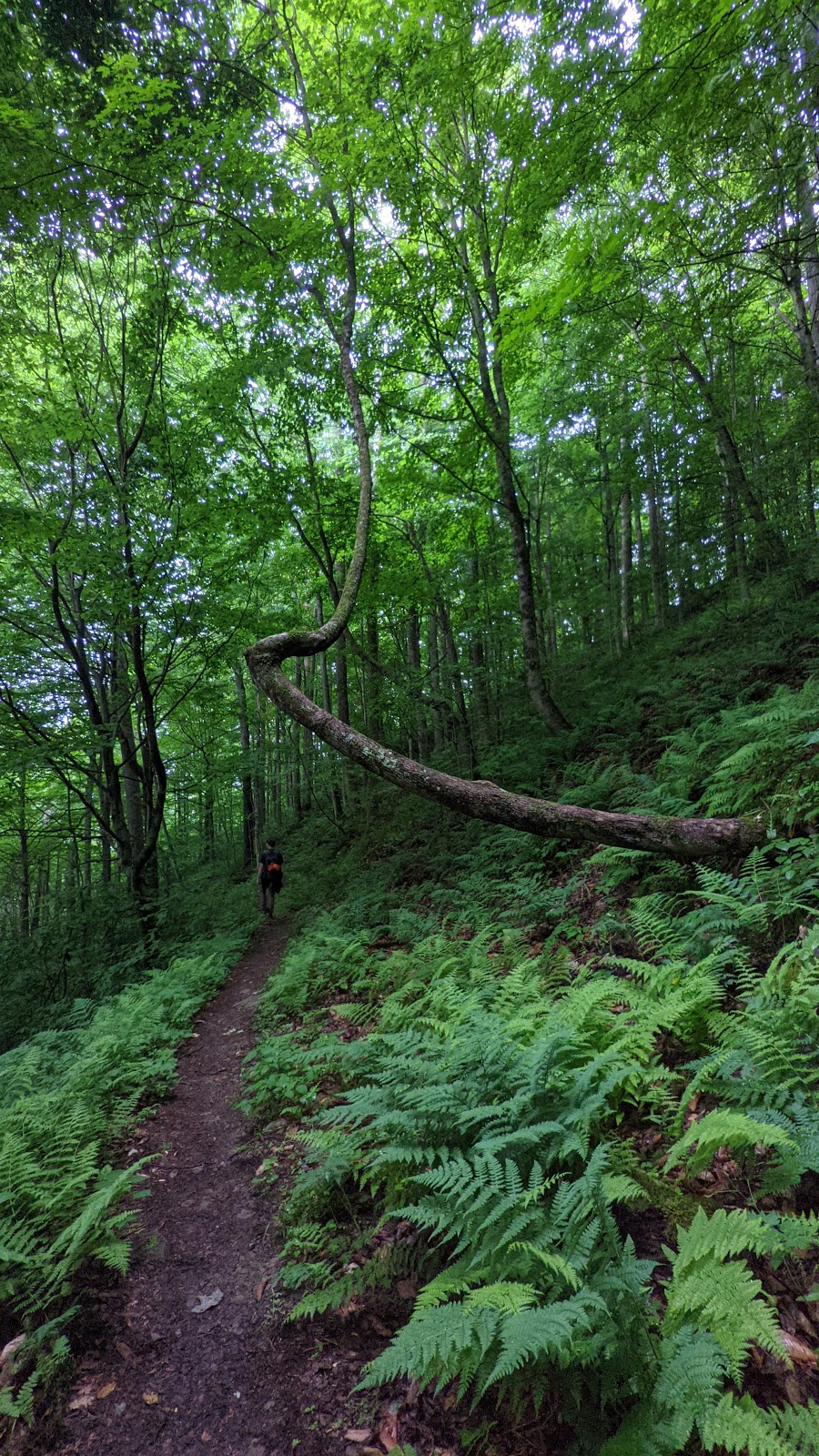 Worlds End State Park