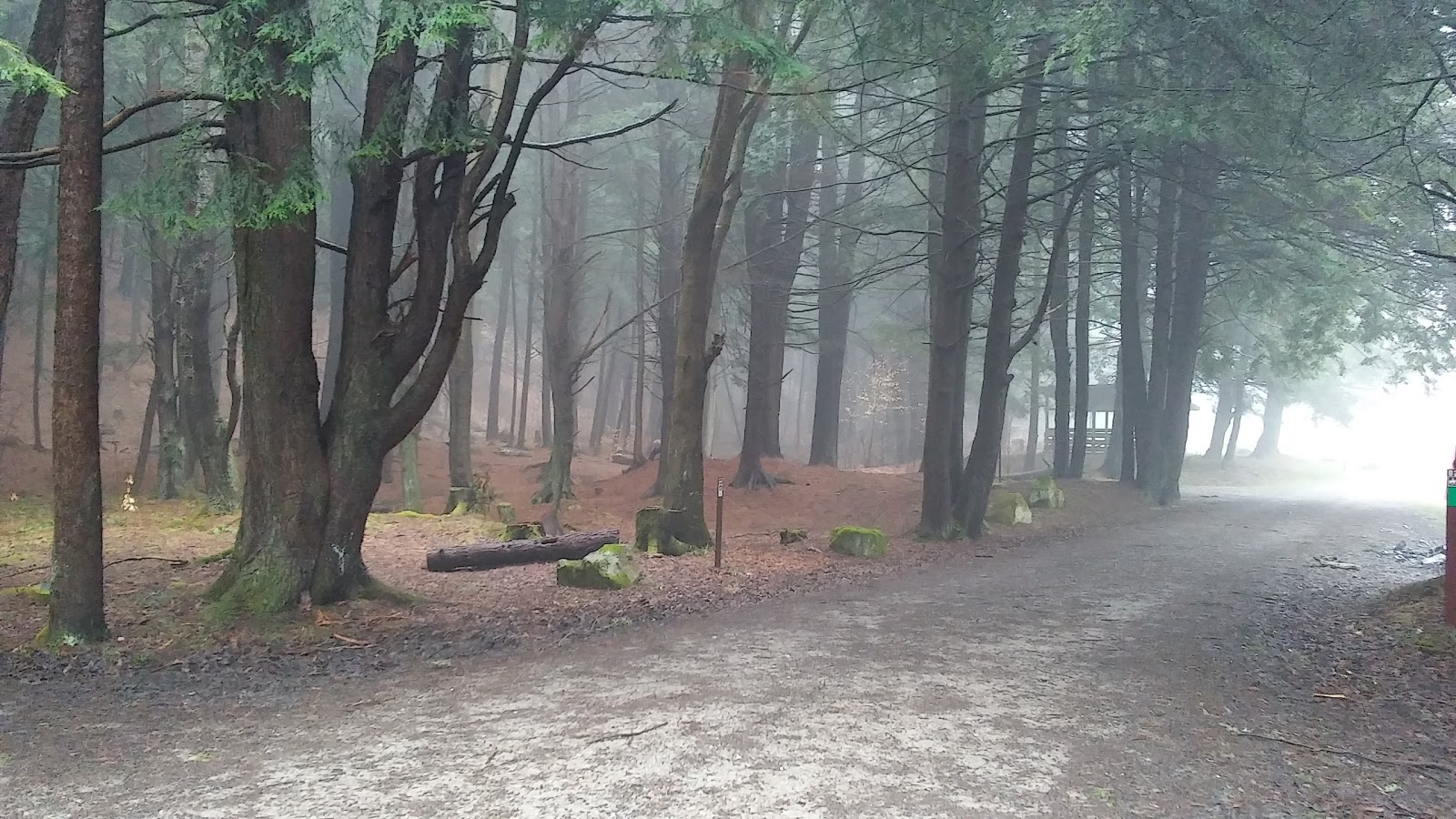 Kelly Pines Campground