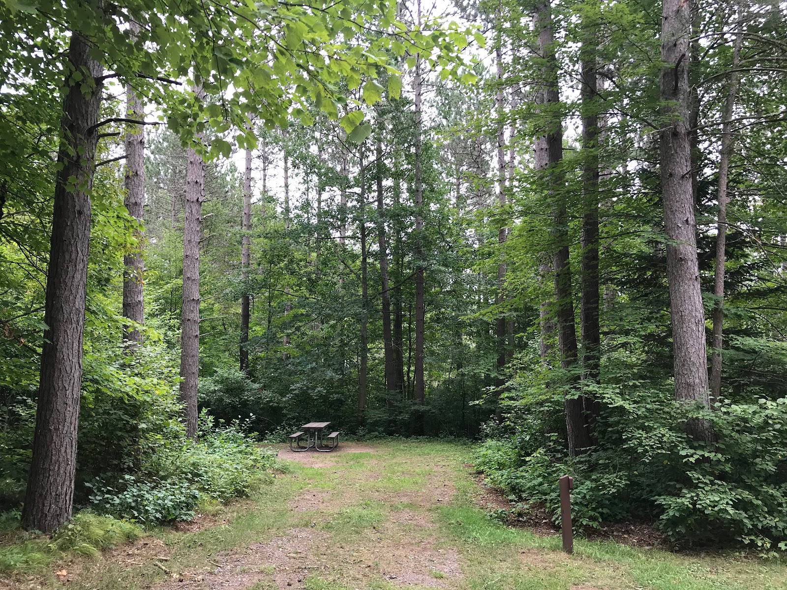 Day Lake NF Campground