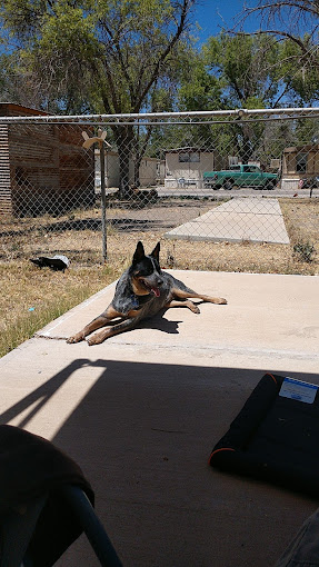 Evergreen Mobile Home & RV Park