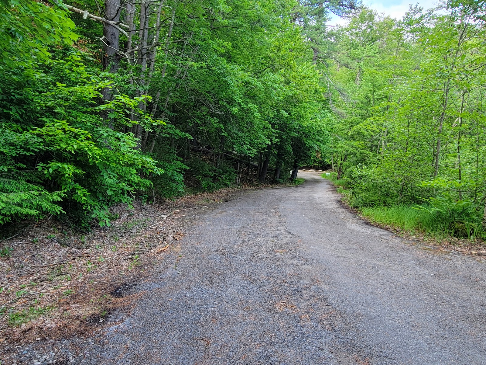 Luzerne Public Campground