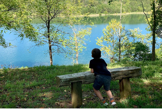 Lake Robertson Recreation Park
