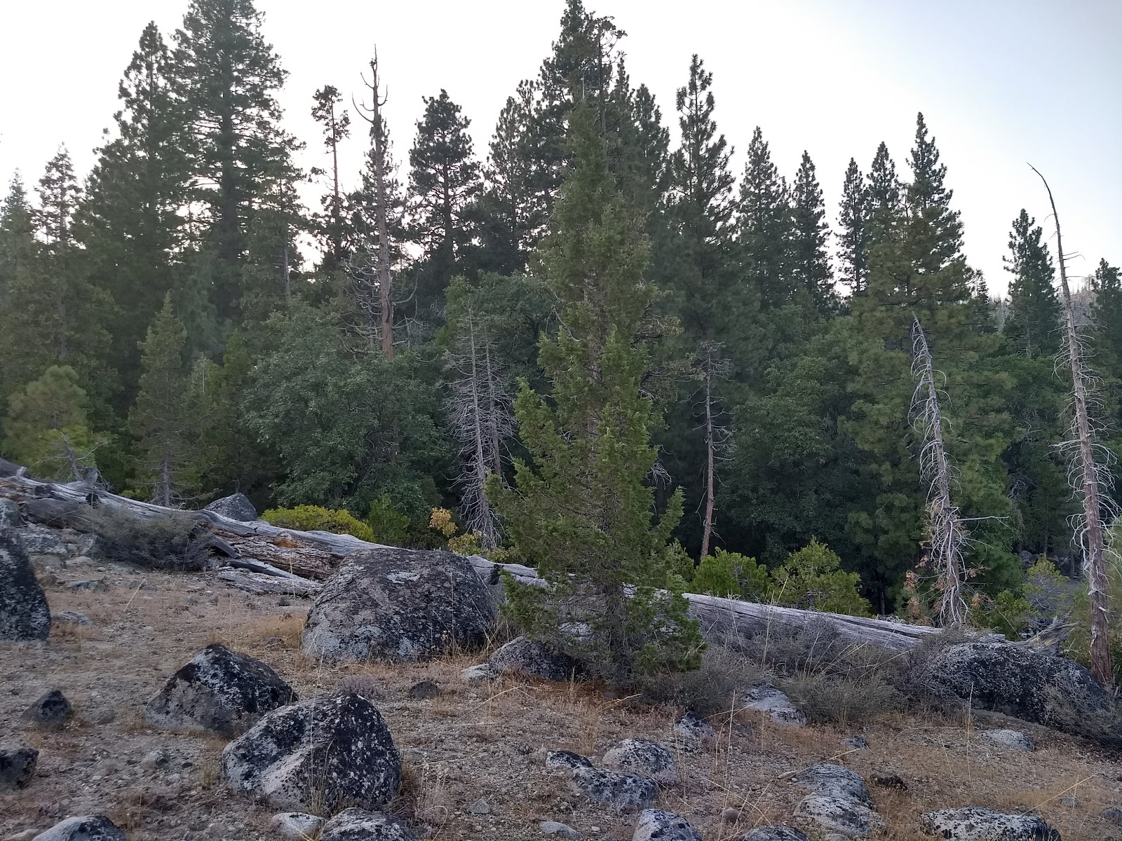 Upper Hell Hole Boat-in Campground