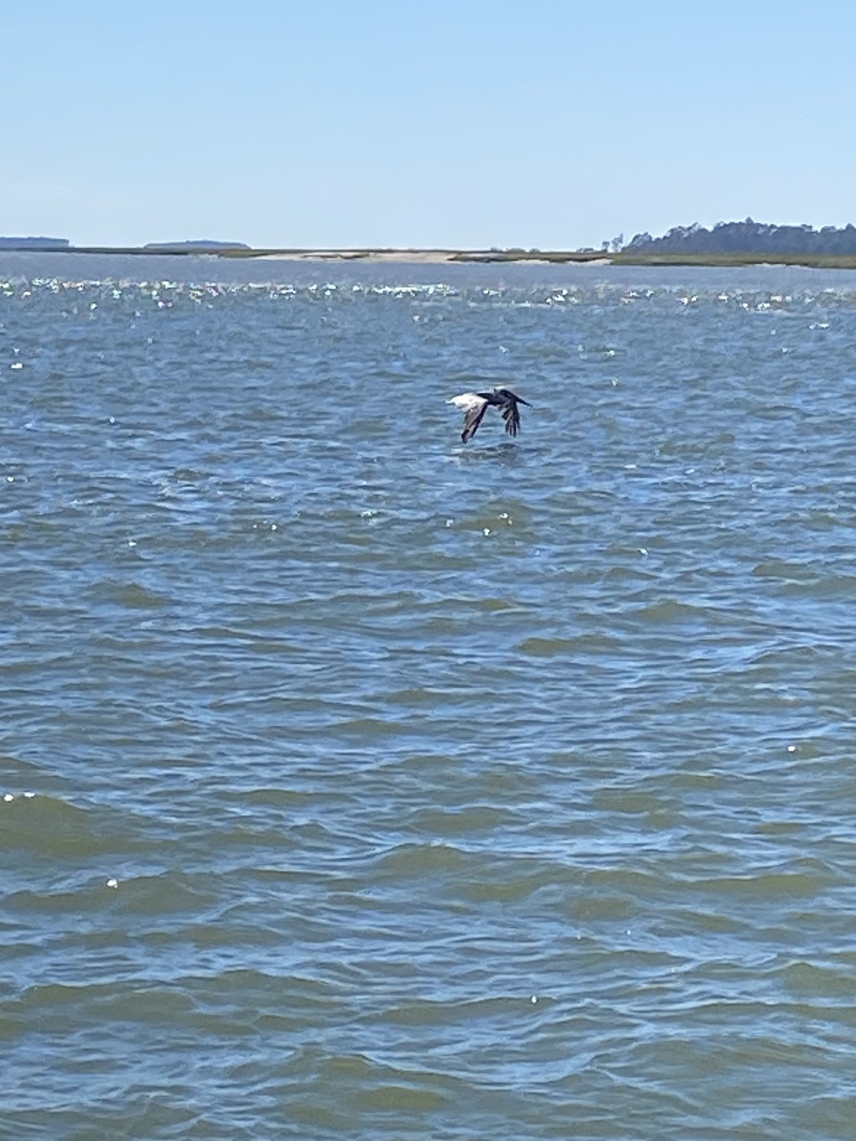 Outdoor Resorts Yacht Club