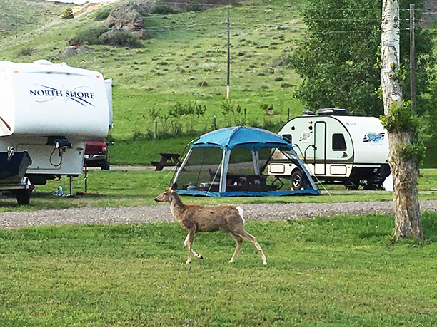 Prewett Creek RV Park and Campground