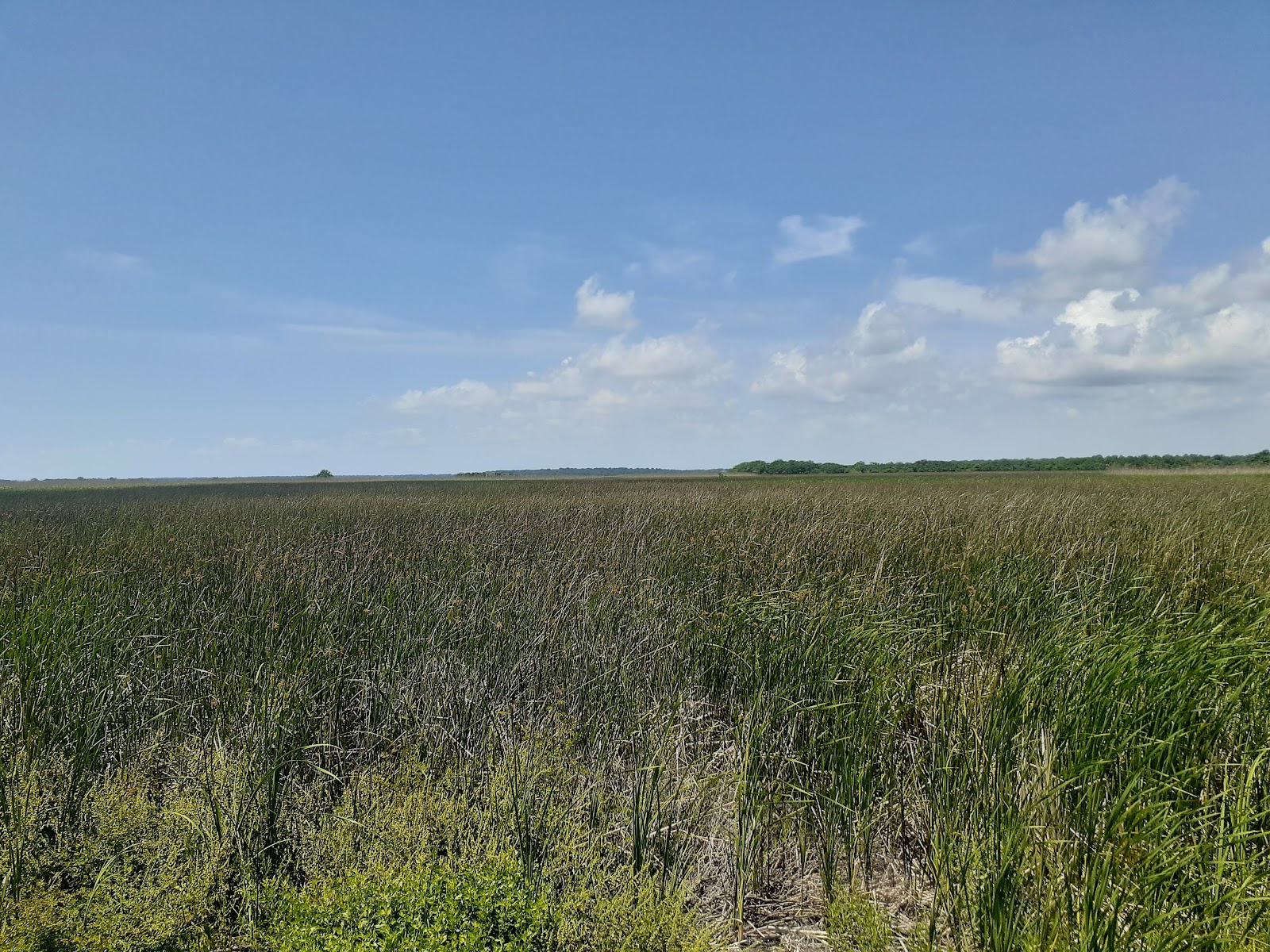 Hugo Point County Park