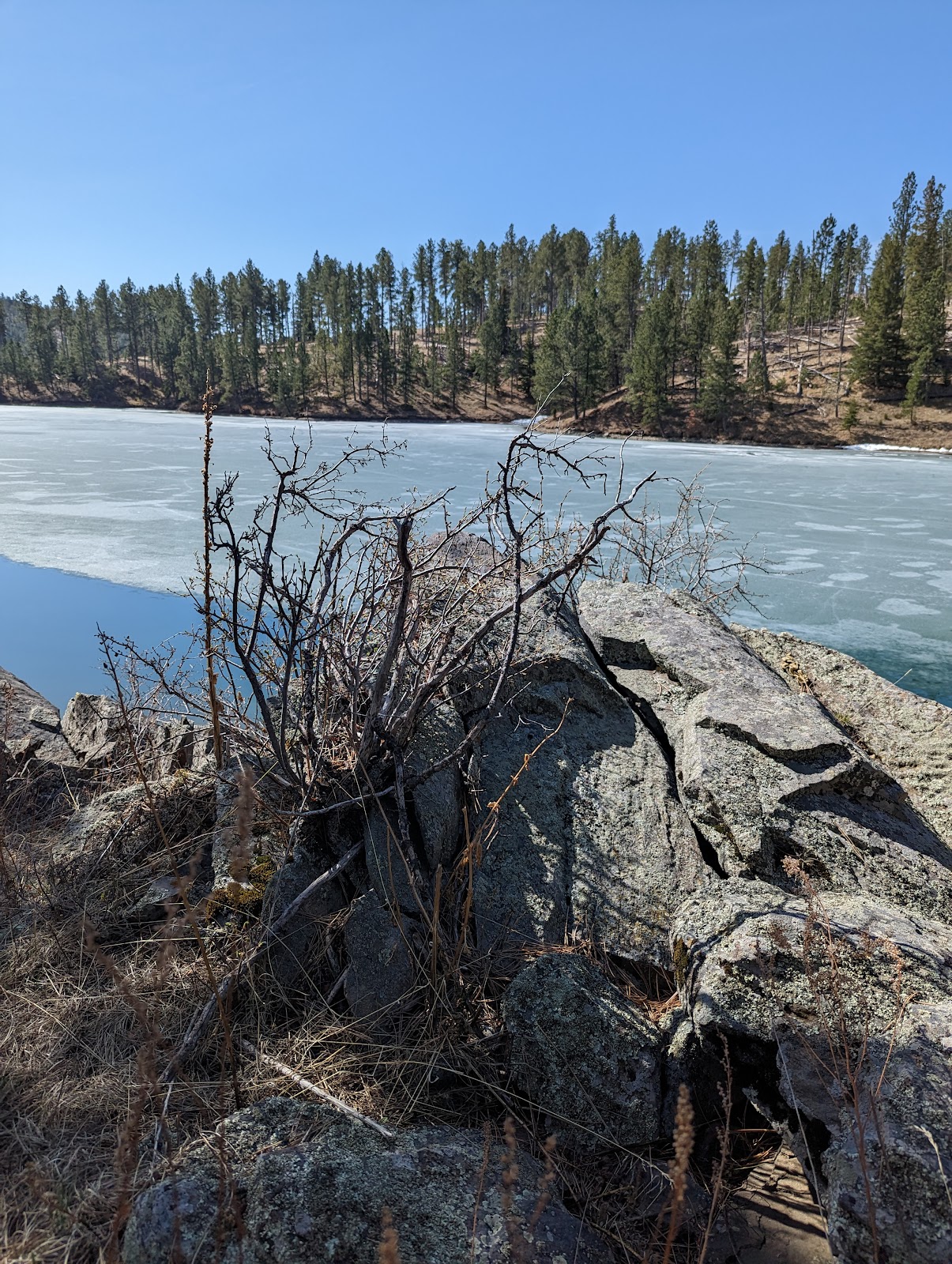 Custer Trail Campground
