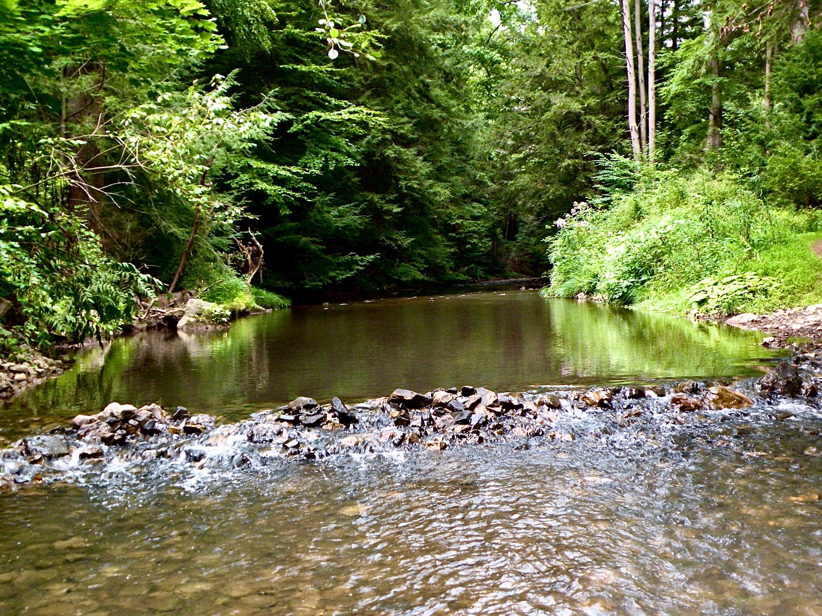 Penn Wood Airstream Park