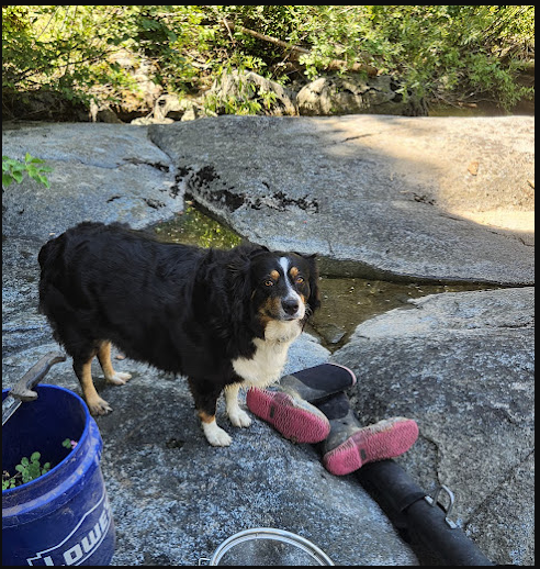 Fraser Flat Campground