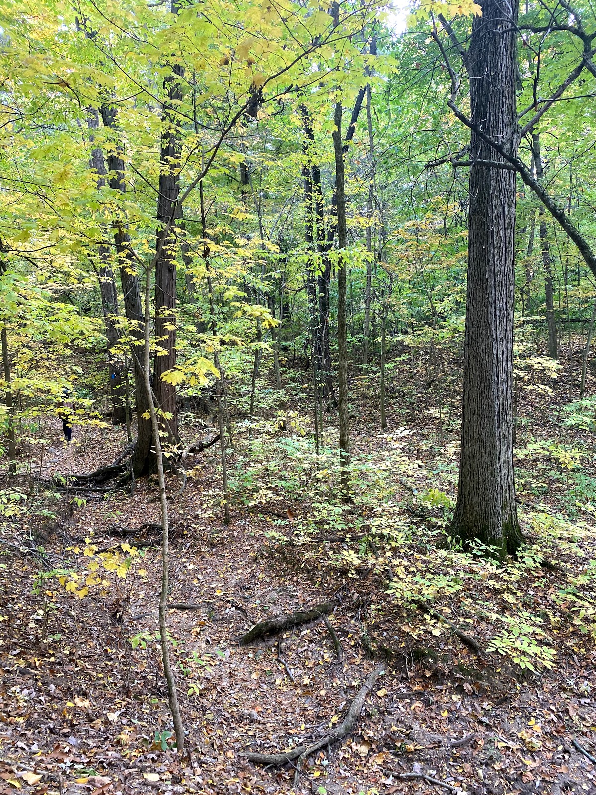 Van Buren State Park, West entrance