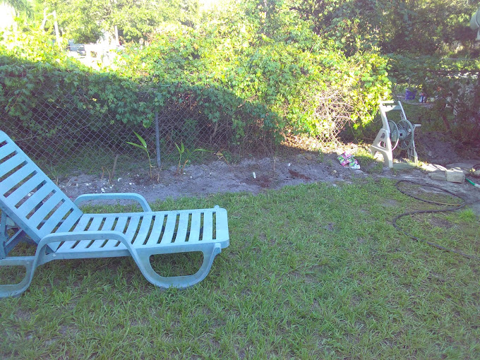 Park Avenue Mobile Park