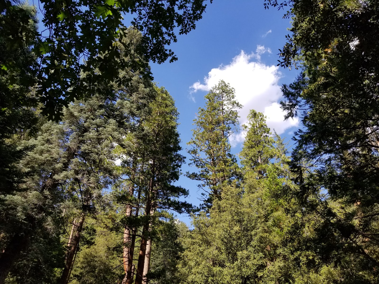 Dark Canyon Campground