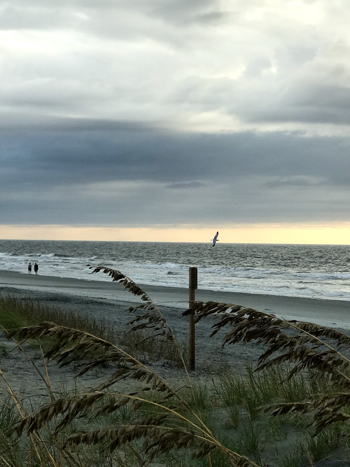 Ocean Lakes Family Campground