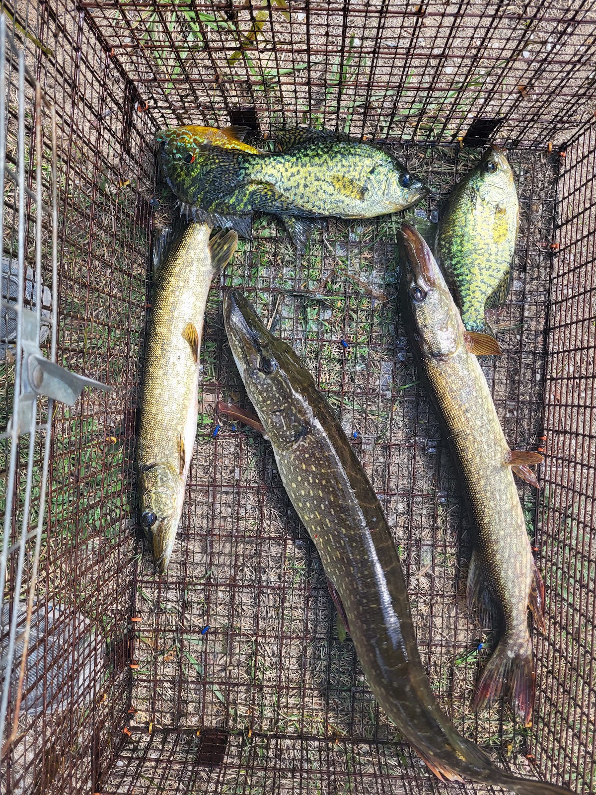 Artesia Beach Campground and Marina