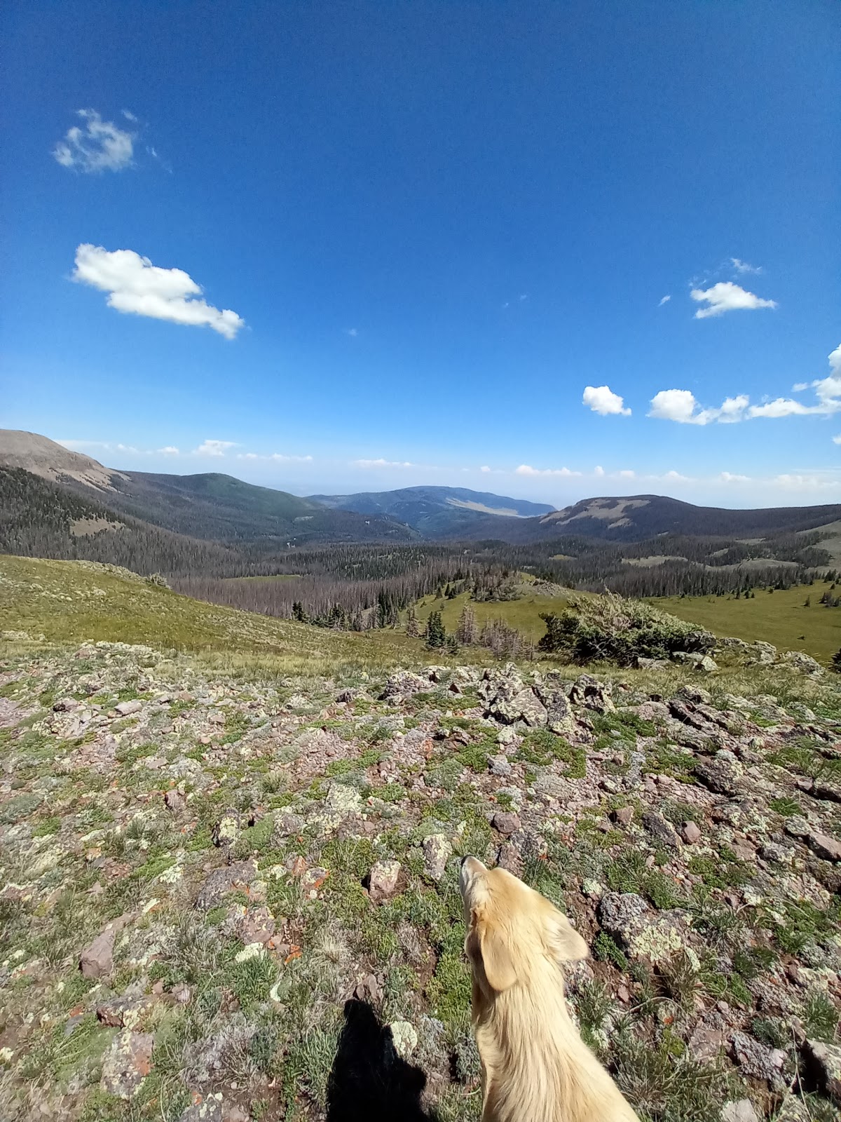 Rock Creek Campground