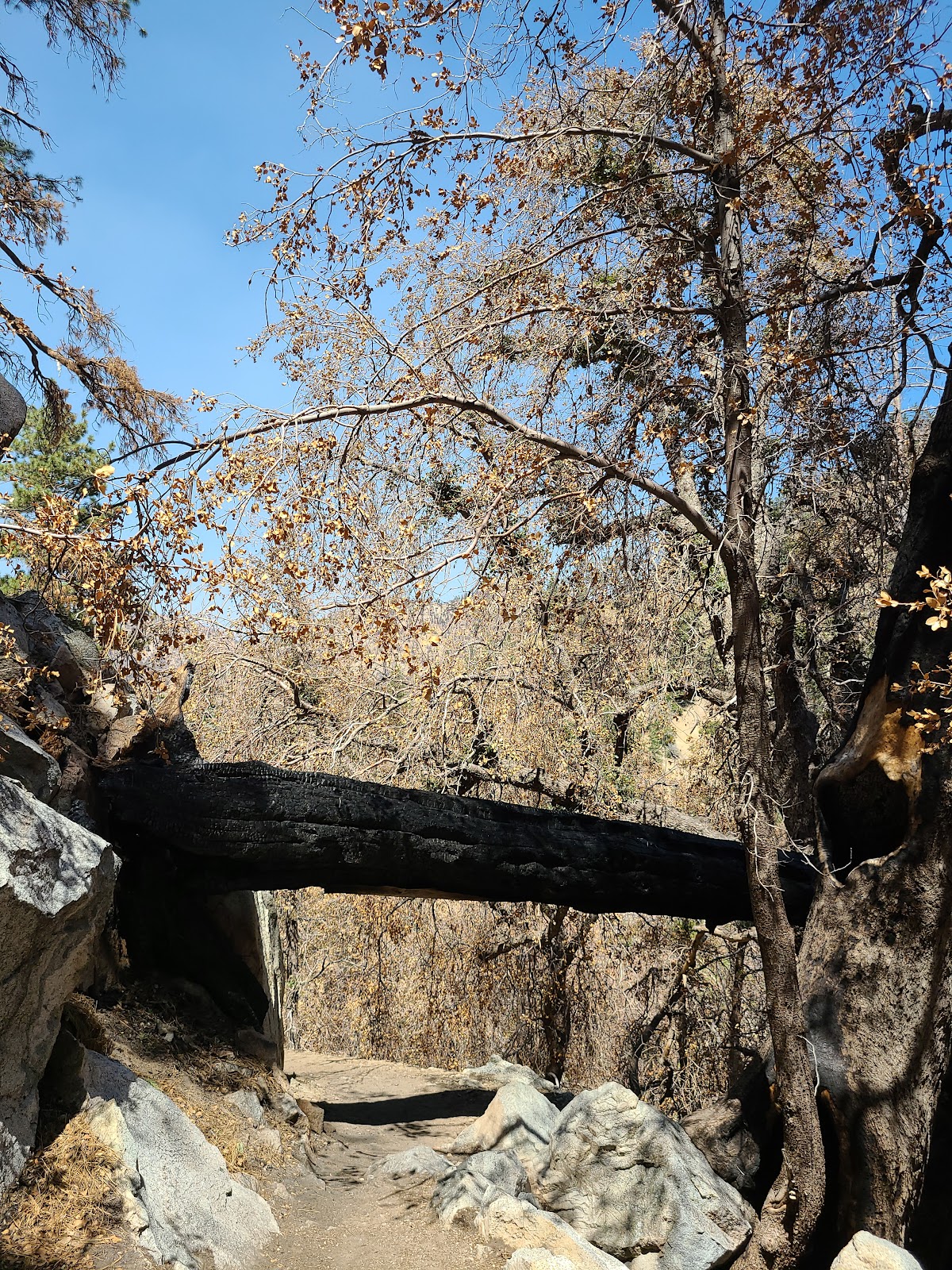 Cooper Canyon Trail Camp