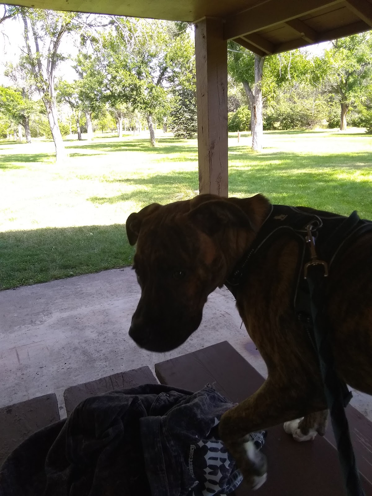 Hugh Glass State Lakeside Use Area