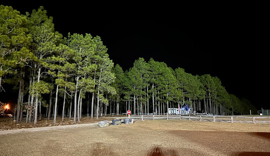 H. Cooper Black Camping