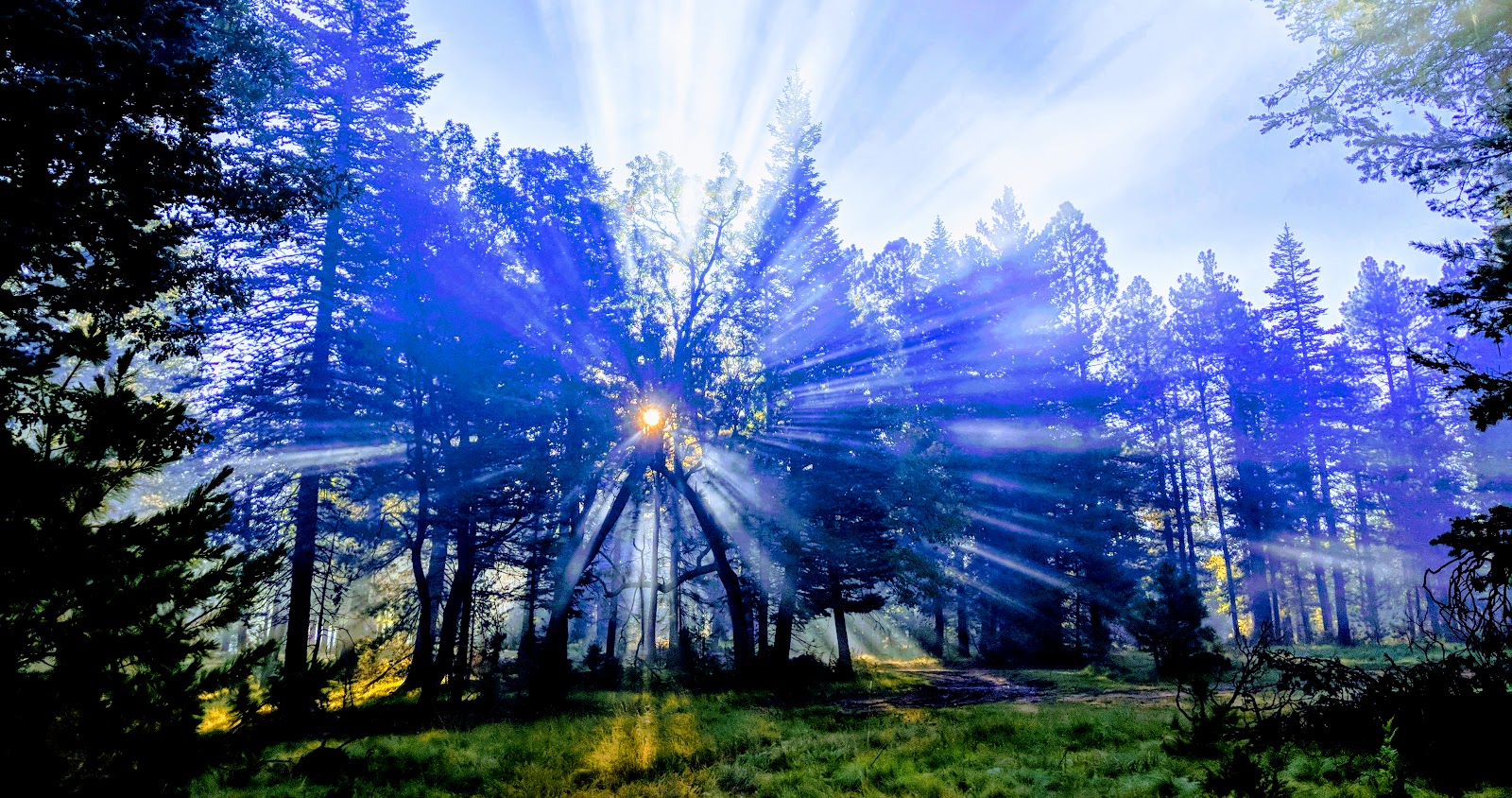 Woods Canyon Dump Station Dump Station