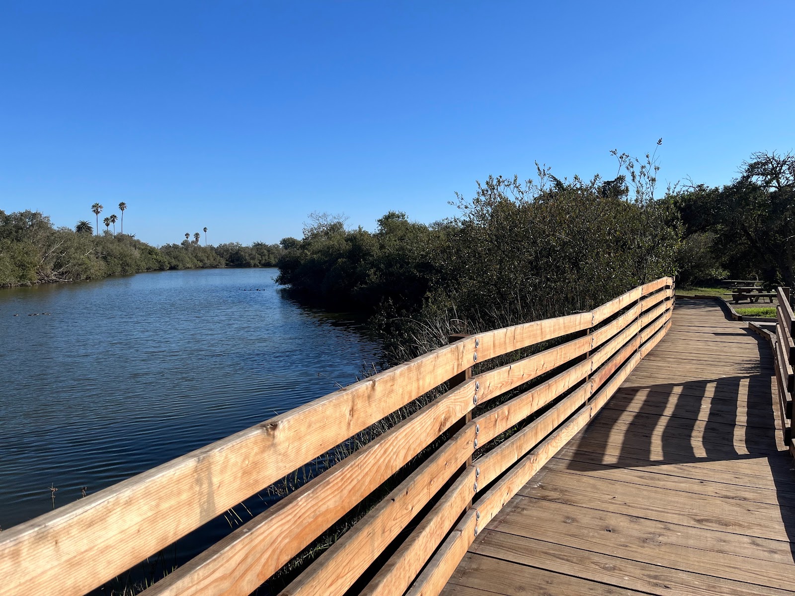 Oceano Campground at Pismo State Beach
