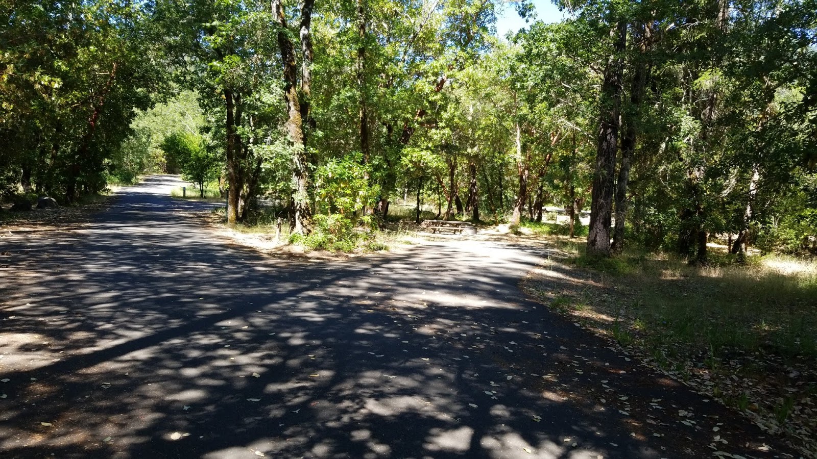 Curly Jack Campground
