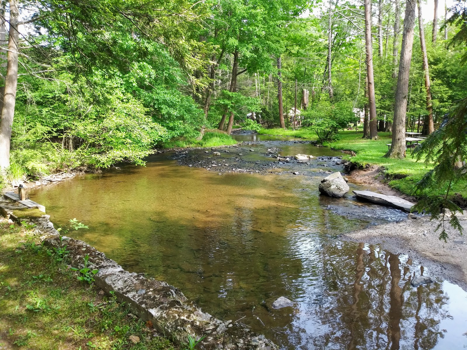 Moyers Grove Campground