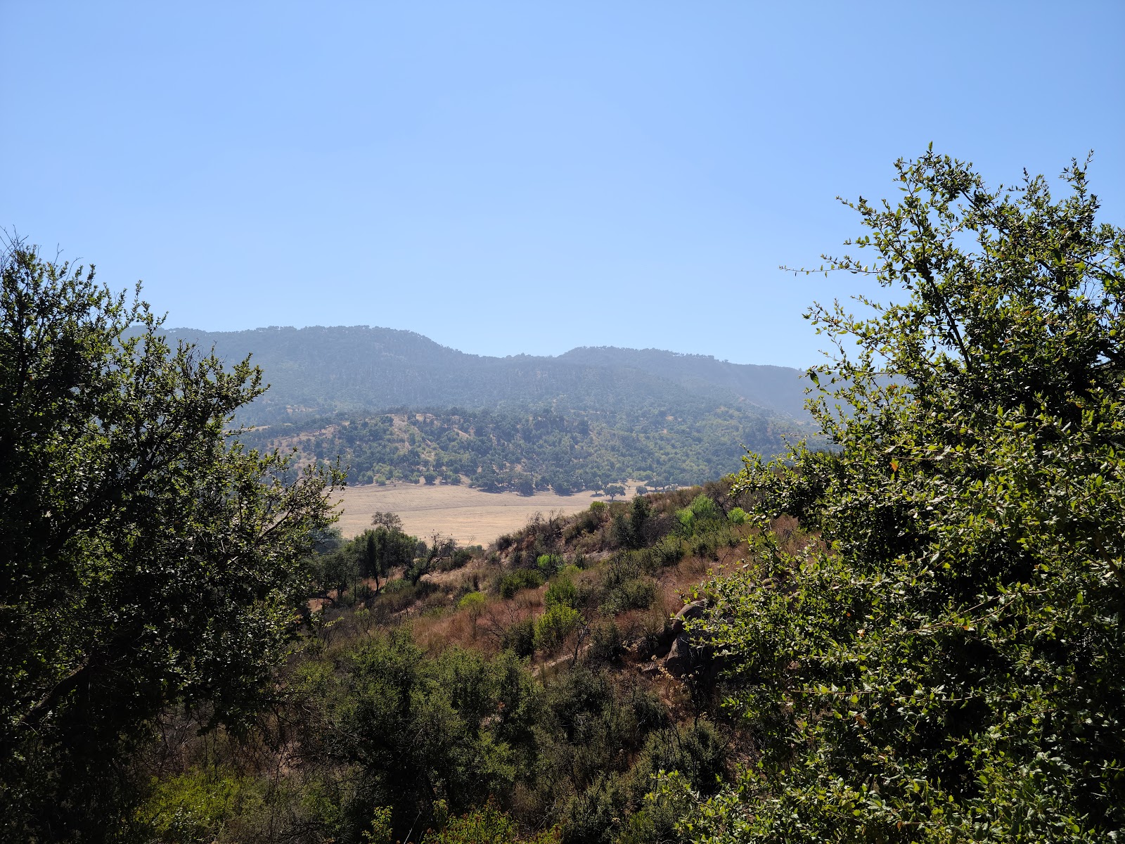 Dennison Park Camping