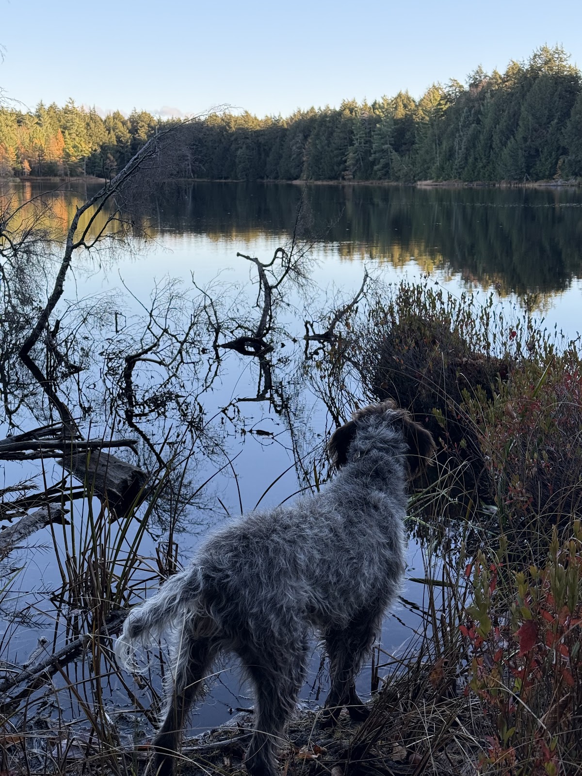 Sylvania Clark Lake NF Campground