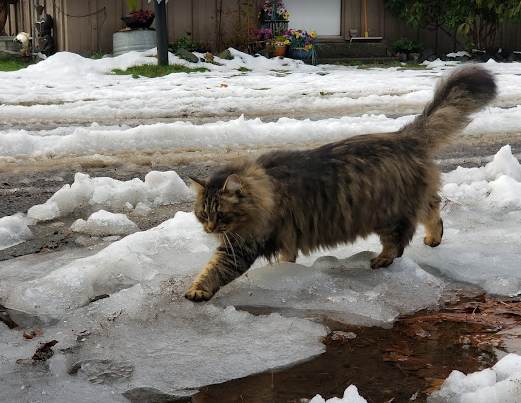 Tower Rock U-Fish RV Park