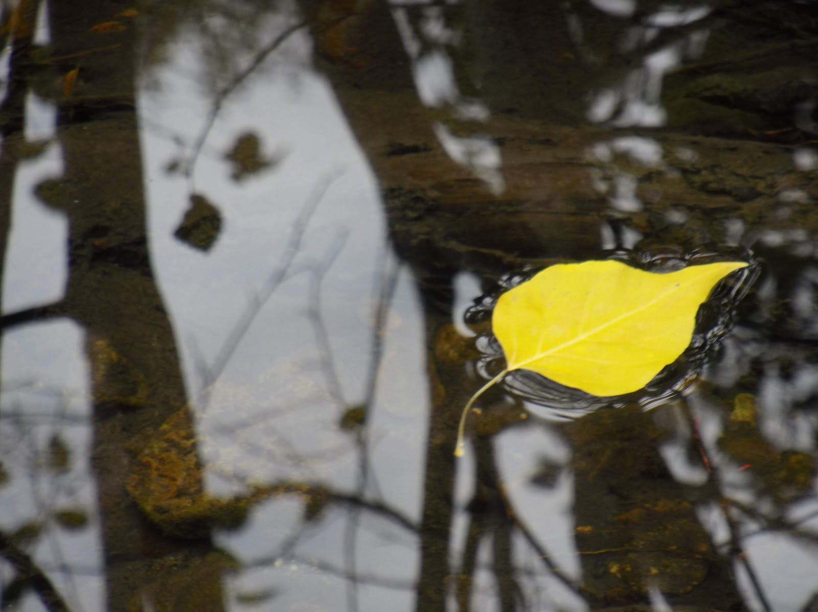 Boulder View Campground