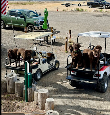 Crowley Lake Fish Camp