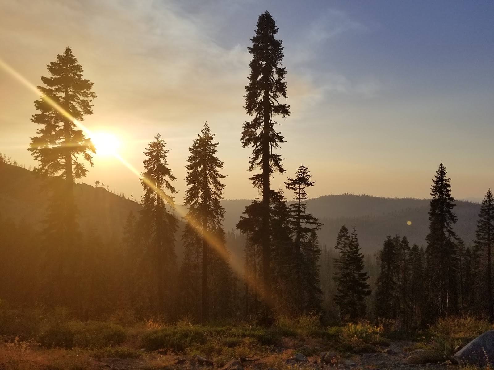 Robinson Flat Campground