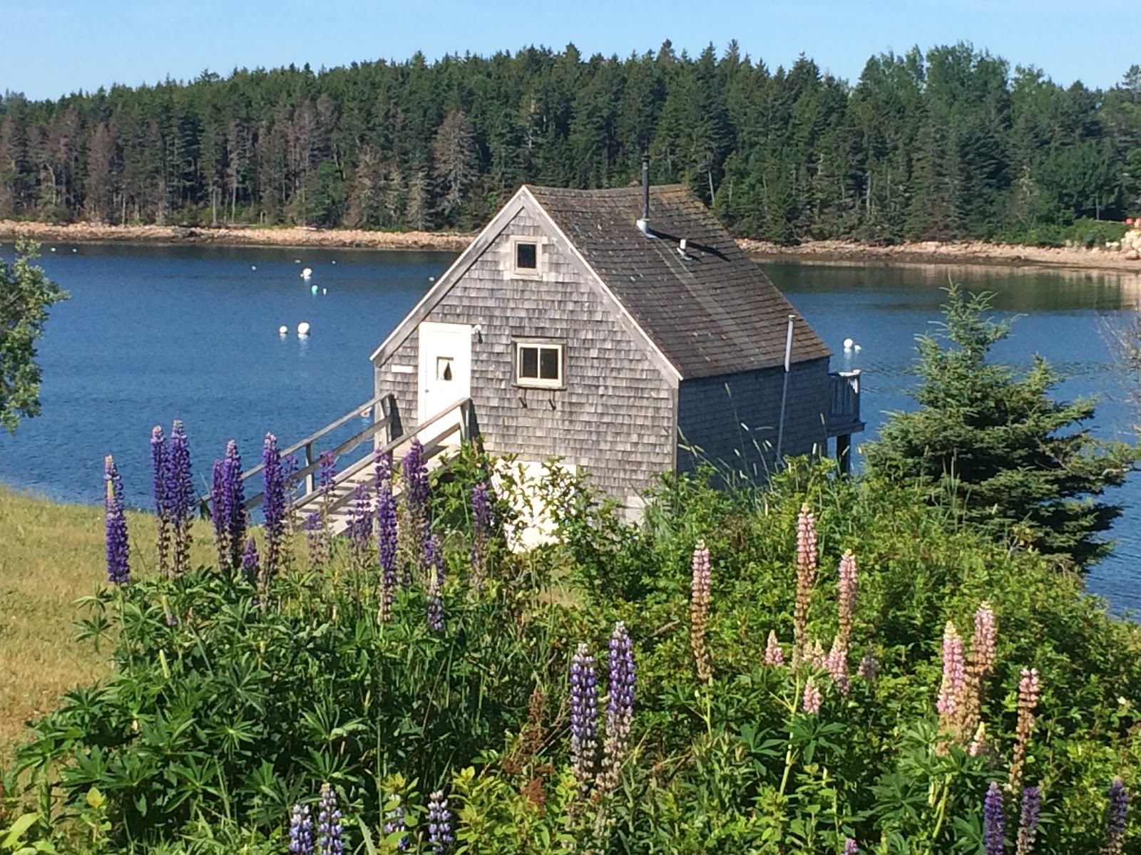 MainStay Cottages & RV Park