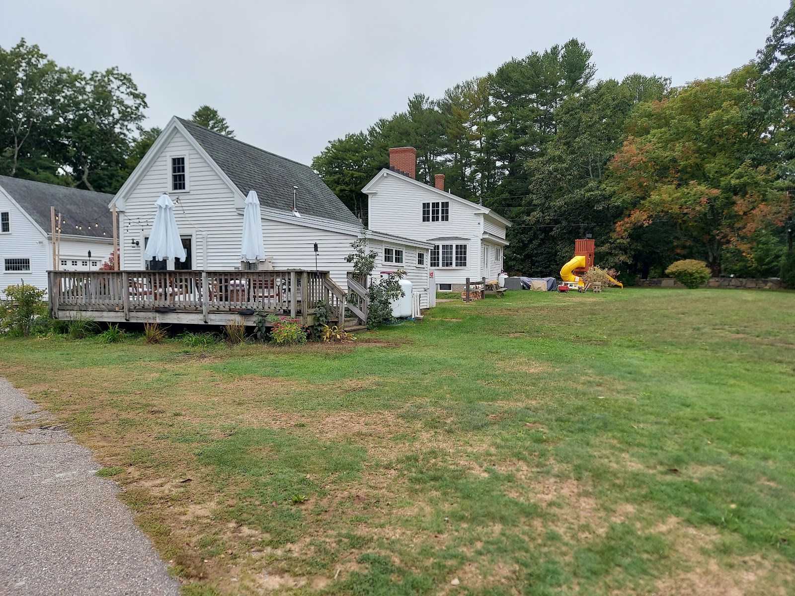 Pinederosa Camping Area