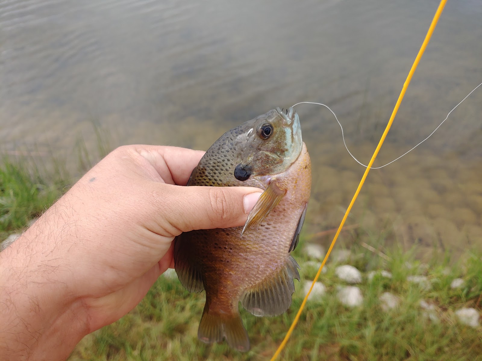 Kota Ray Dam Boating Access
