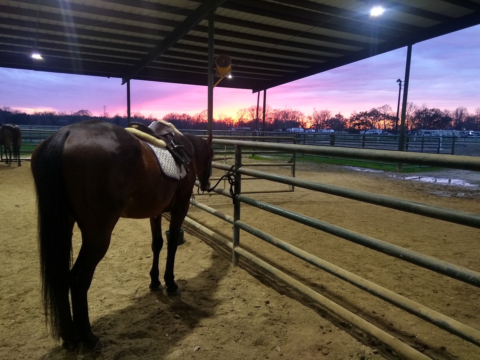 Brec's Farr Park Equestrian Center RV Campground
