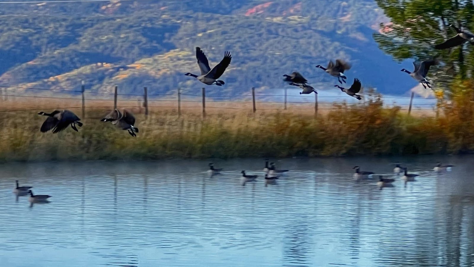 Star Valley Ranch Resort