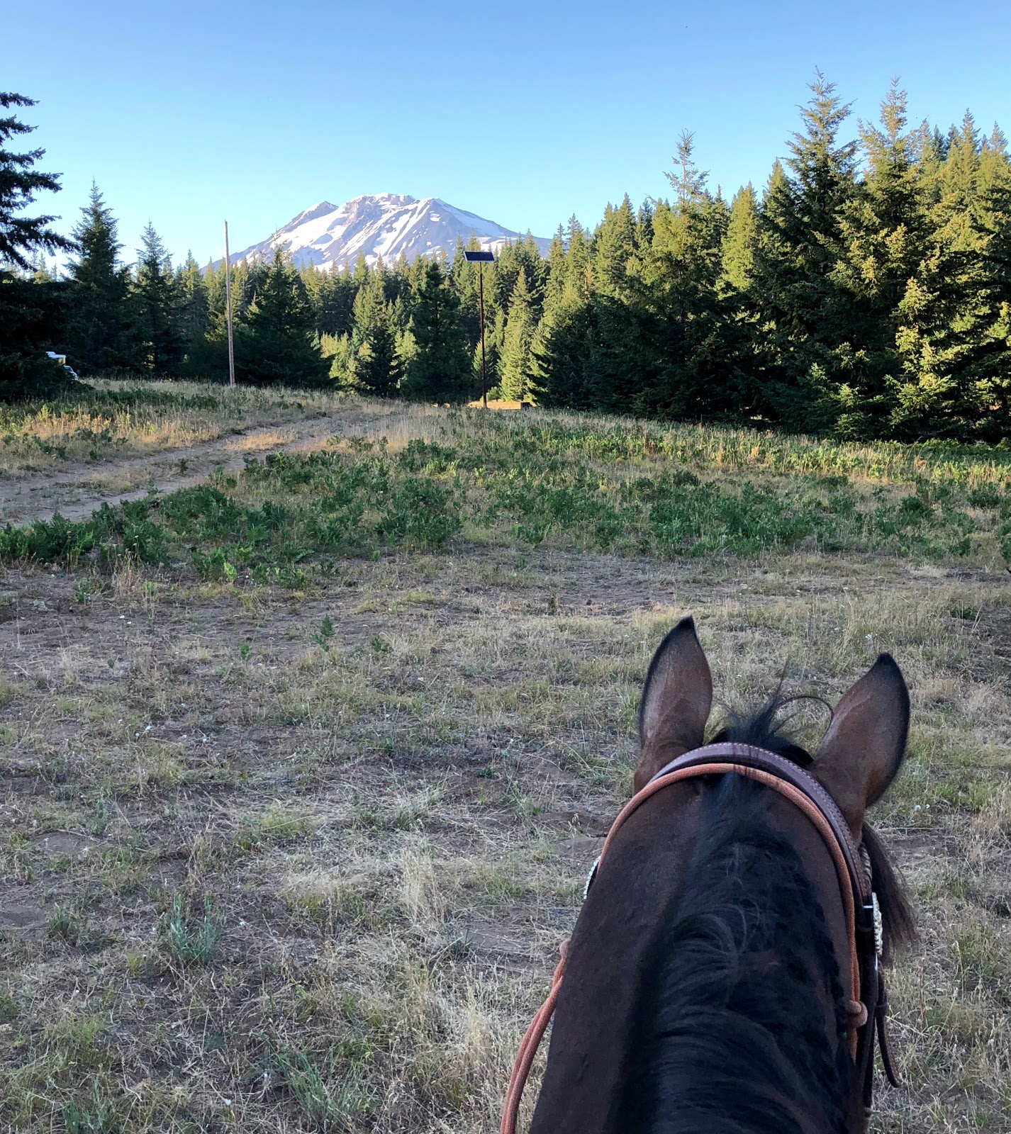 Mt Adams Horse Campground