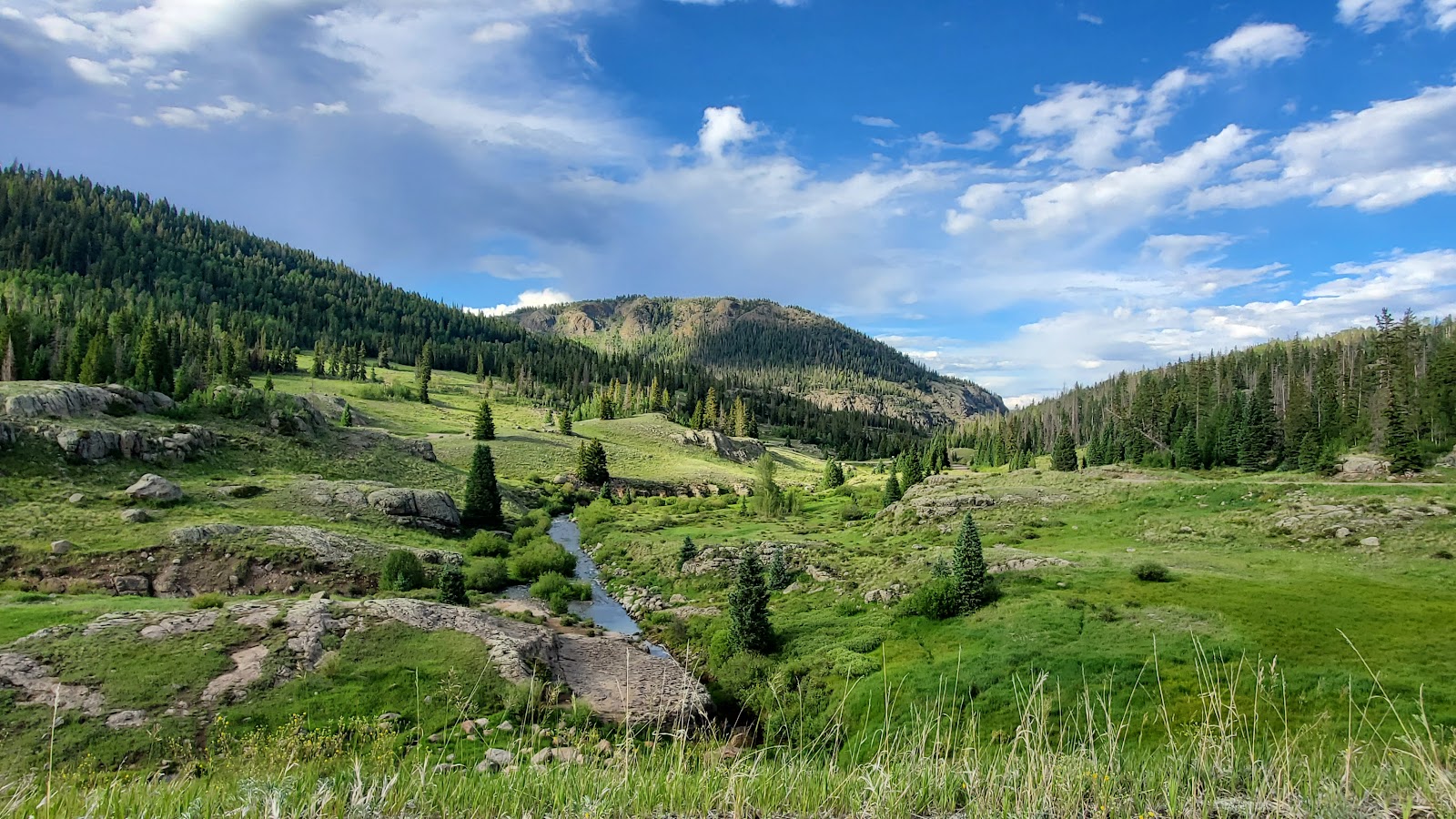 Big Meadows Campground