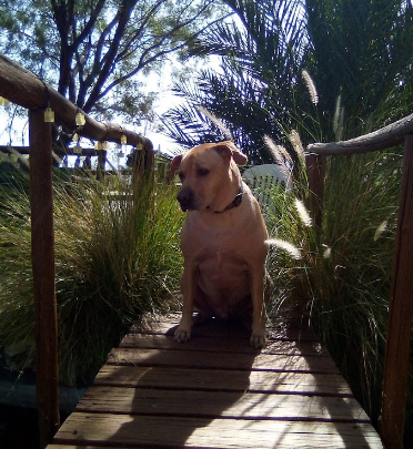 Hidden Oasis RV Park