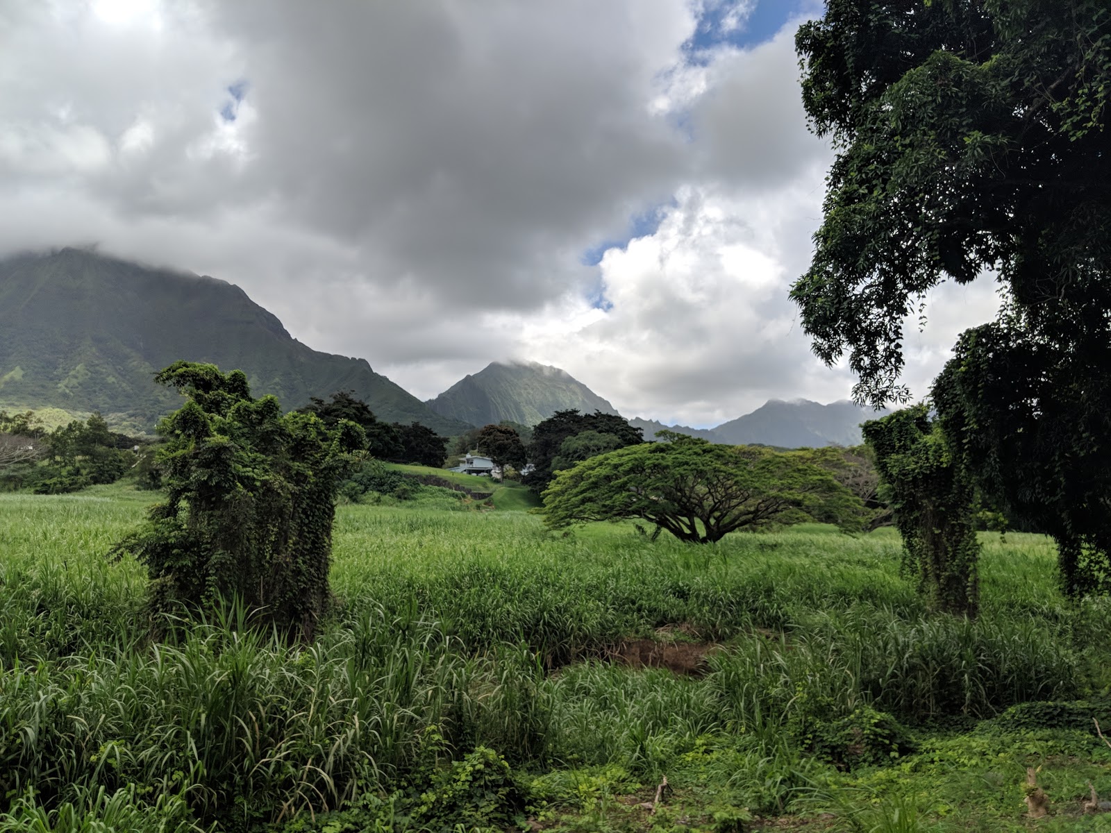 Maunawili Valley Neighborhood Park
