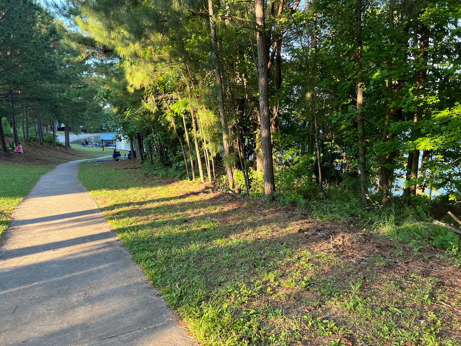 Lanier Park Shelter (GA)