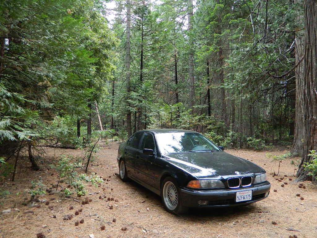 Rogers Cow Campground