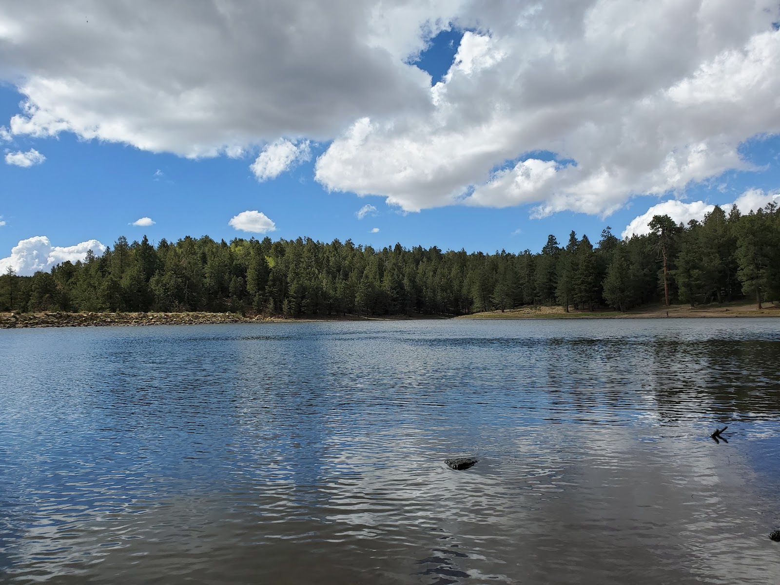 Riggs Flat Campground