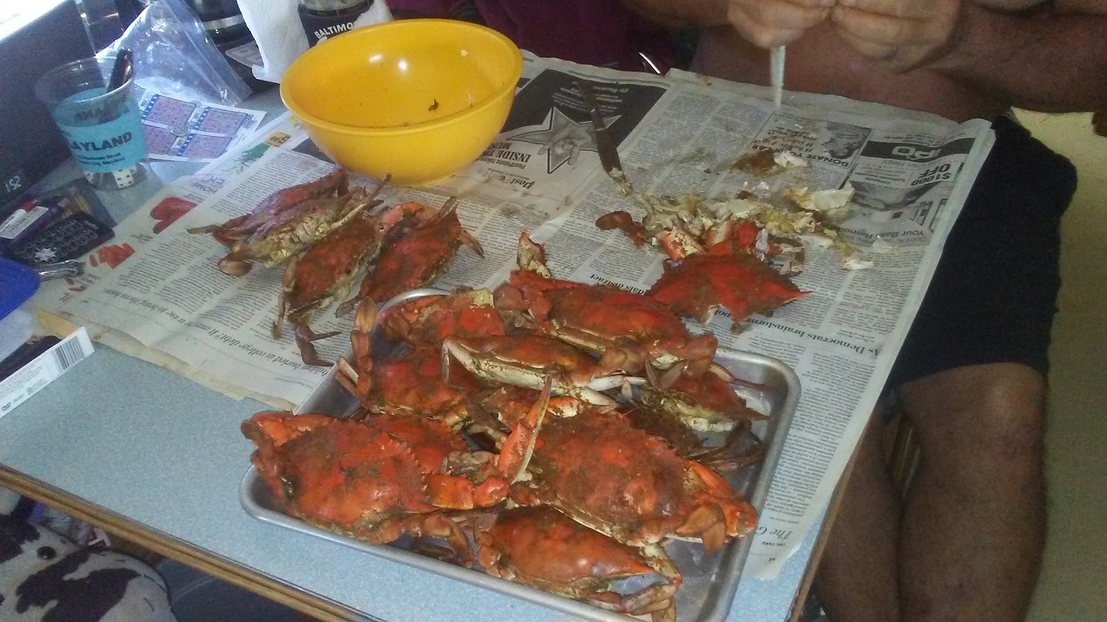 Madison Bay Campground and Marina