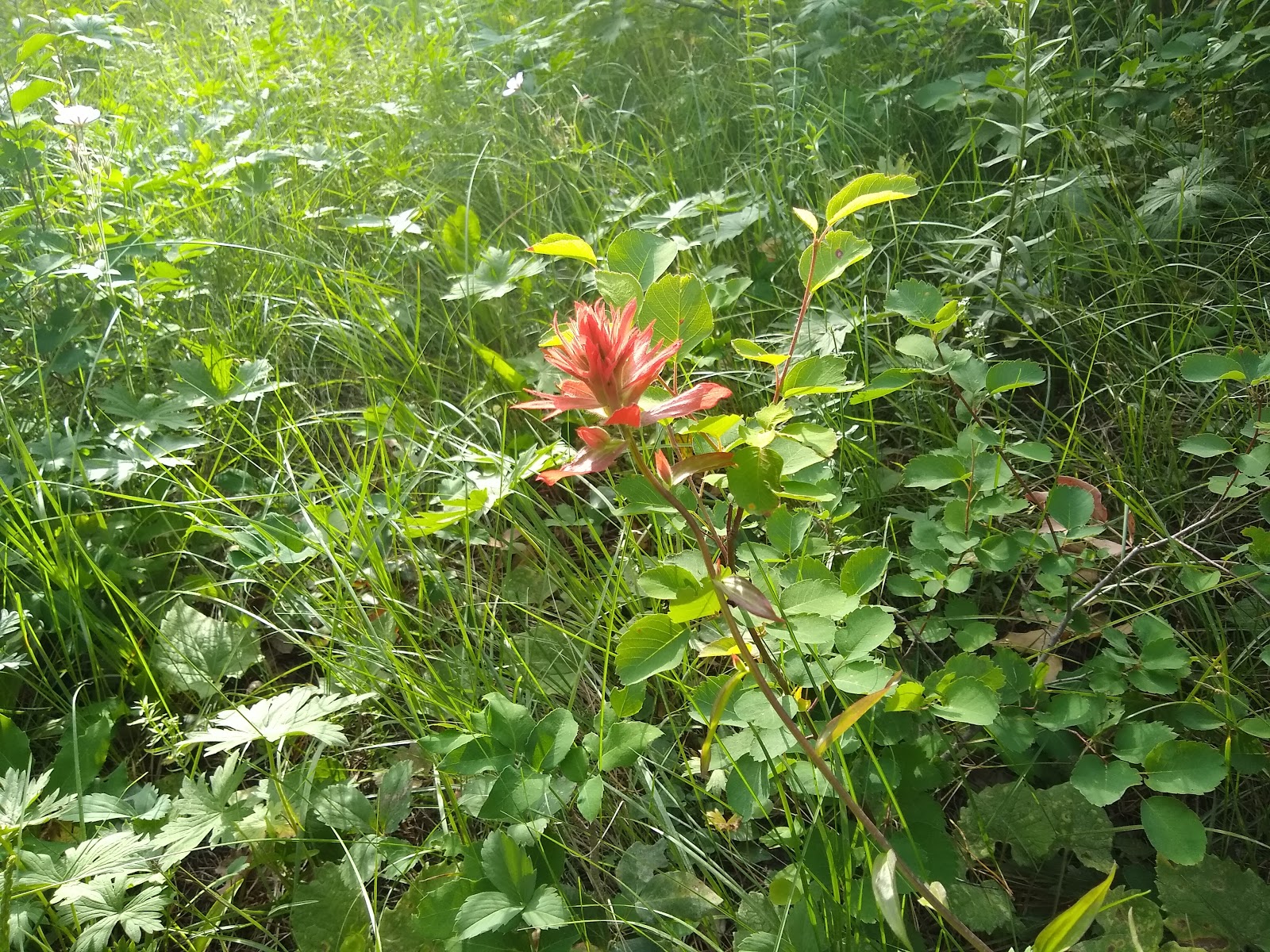 Murphy Creek Campground