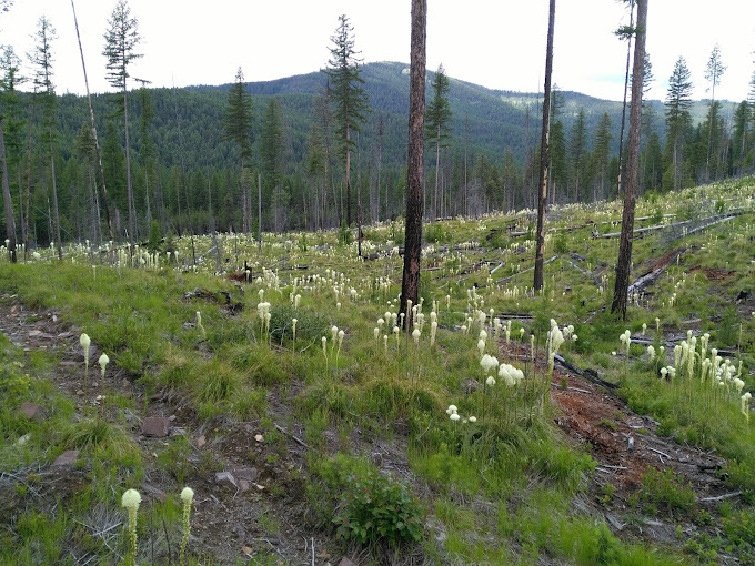 Fishtrap Lake Campground