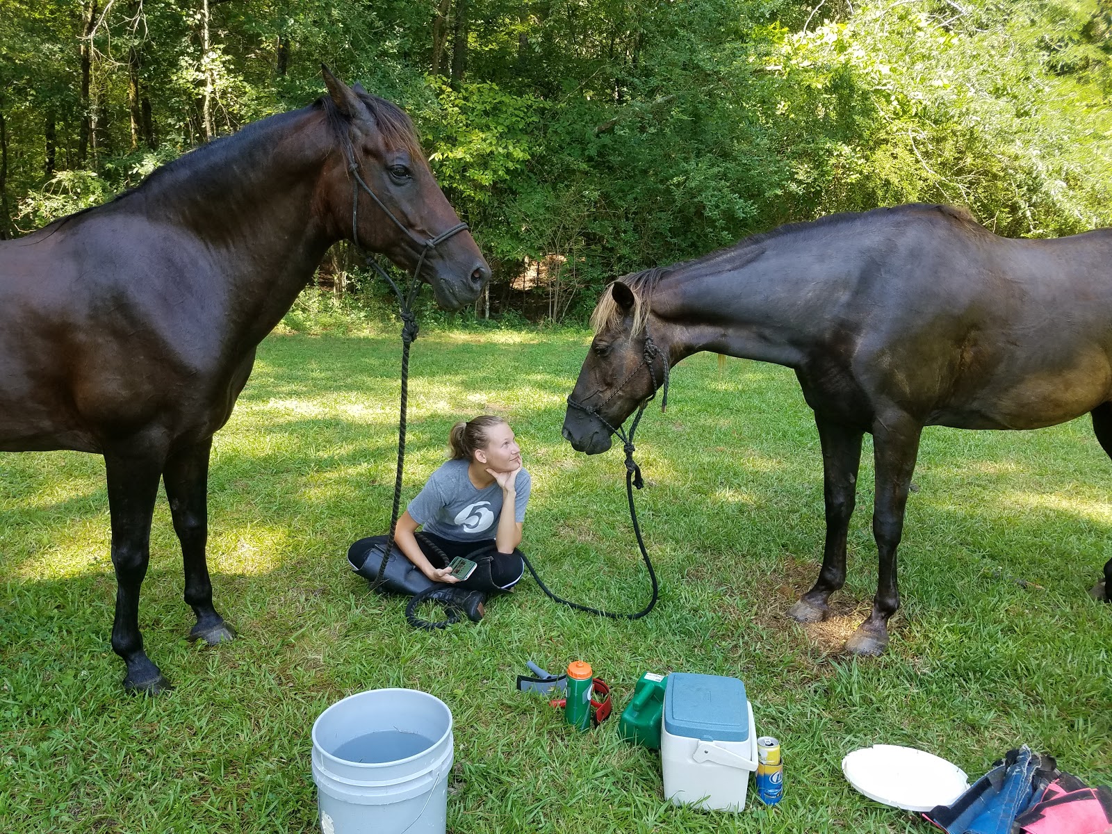 Fell Hunt Campground
