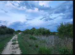 Berry Springs RV Park