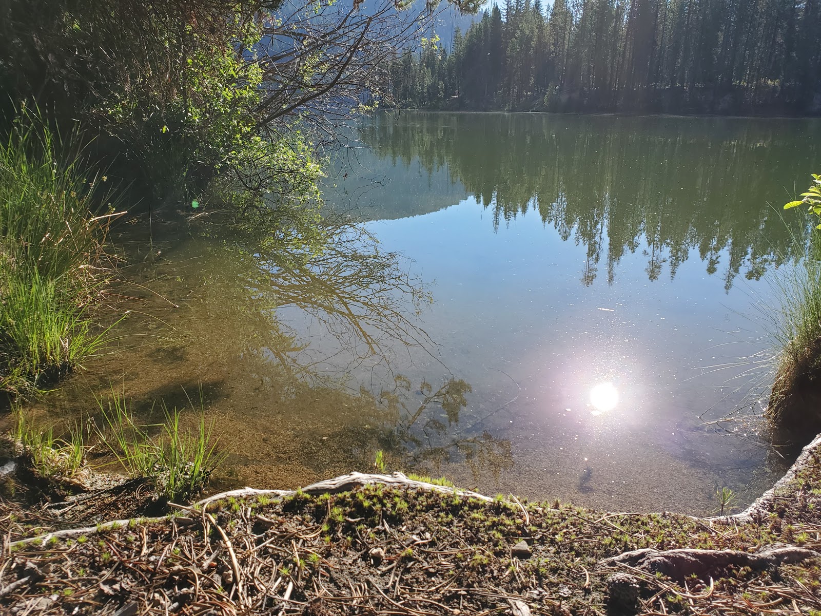 Poole Creek Campground